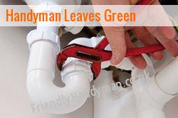 handyman Leaves Green